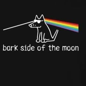 Meet your Posher, Cathy